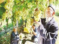 國(guó)家旅游局“十三五”將安排3.5億元支持新疆旅游