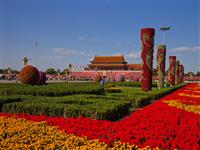 北京將開啟全夜景照明 主題花壇25日全布置到位