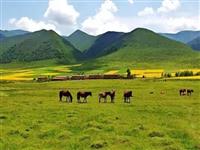 帶上全家去兜風(fēng)，國內(nèi)最棒的自駕路線攻略